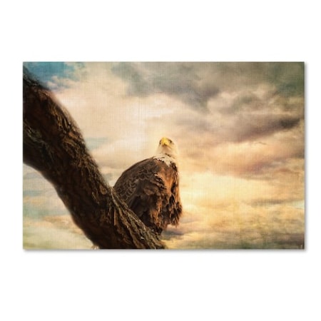 Jai Johnson 'Her Majesty Bald Eagle' Canvas Art,12x19